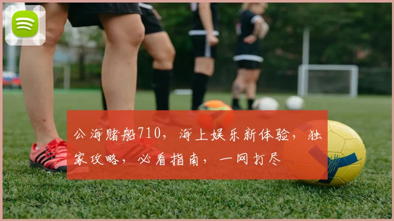 公海赌船710，海上娱乐新体验，独家攻略，必看指南，一网打尽
